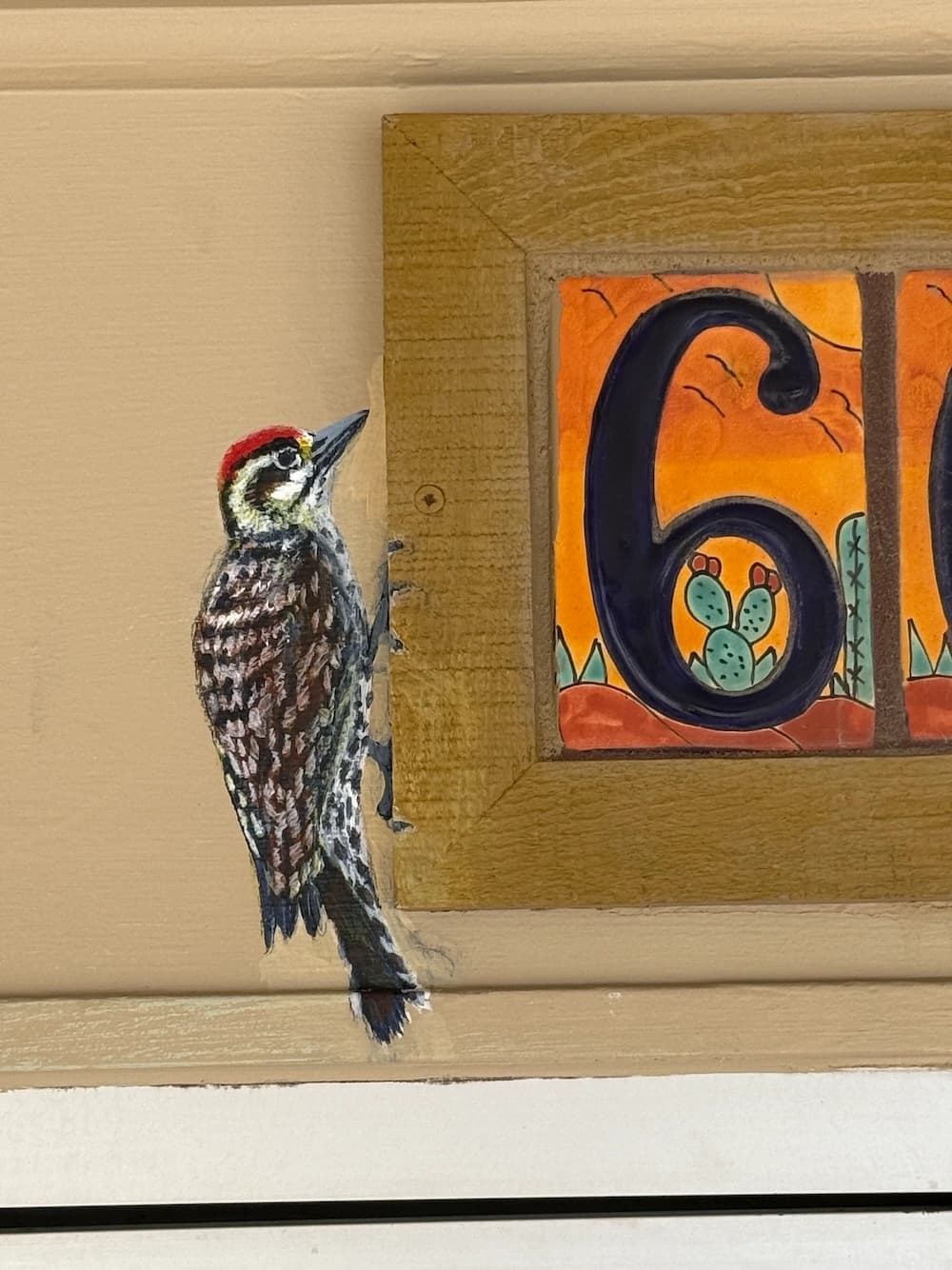 A ladder-backed woodpecker, red-capped and barred black and white, painted climbing the trim beside a tiled 664 address sign.