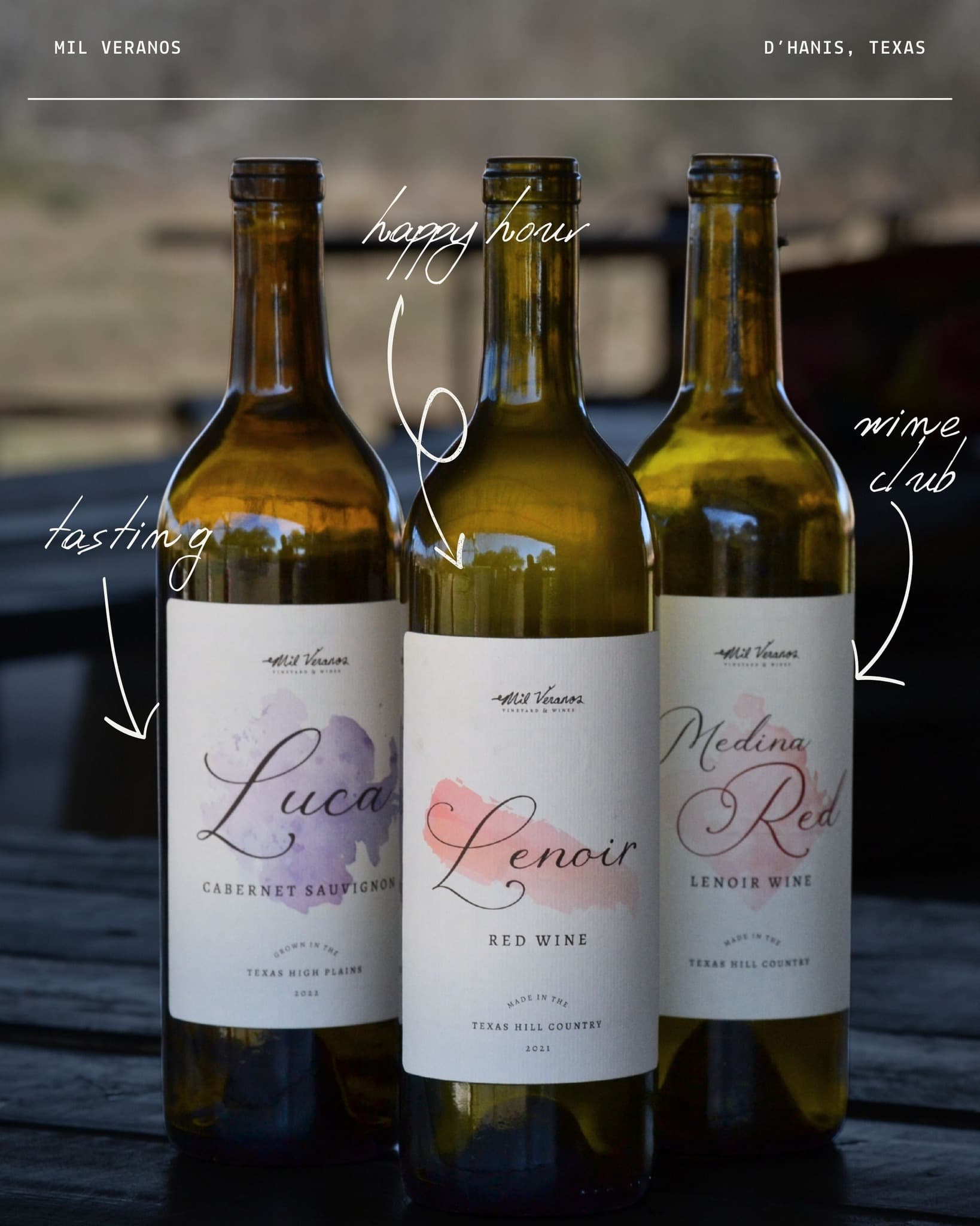 A selection of wines from Mil Veranos Vineyard & Wines