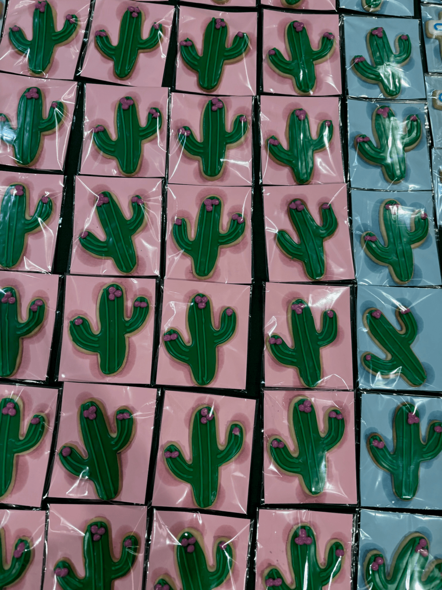 Cactus Cookies made by A Baker's Dozen